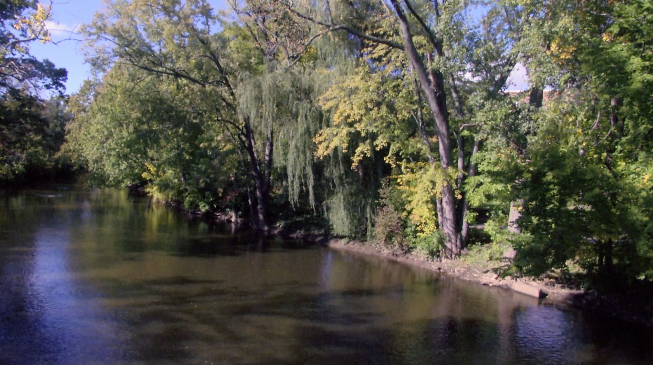 A Canoe Line Could Possibly Be Coming To 
Ingham County